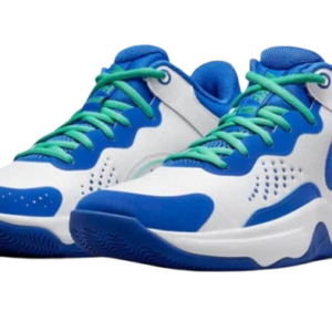 ZAP NIK DD9311-102 NIKE FLY.BY MI